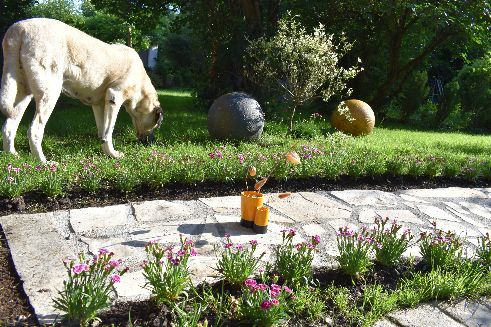 Garten in Grafing Hauptstraße 44